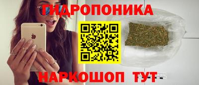 шишки Нягань