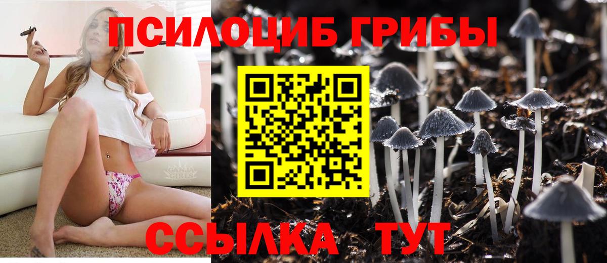 Соликамск  Псилоцибиновые грибы MAGIC MUSHROOMS  дарнет шоп  Вход с VPN 